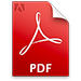 pdf icon